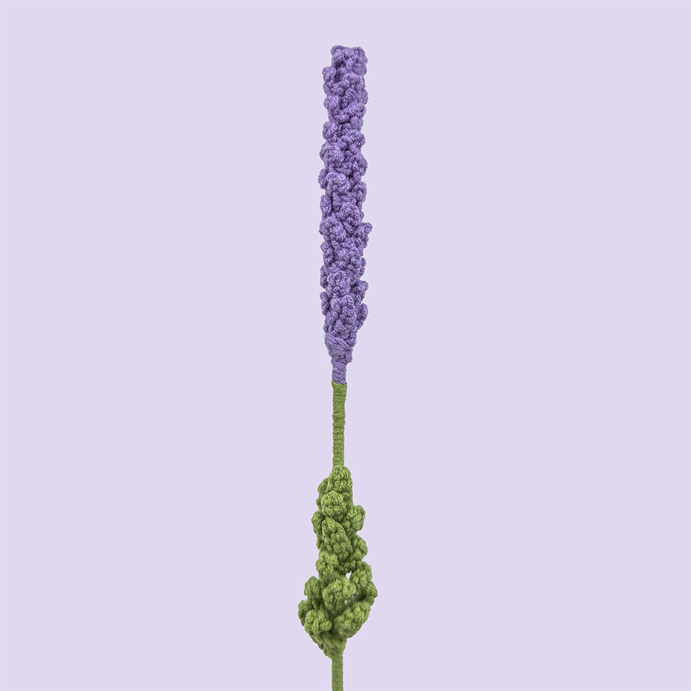 Lavendel (Lille blad) - Baggrund