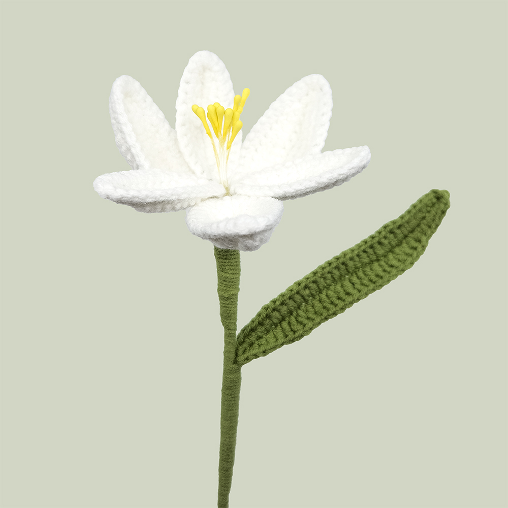 Lilje (Støvdragere) - Baggrund