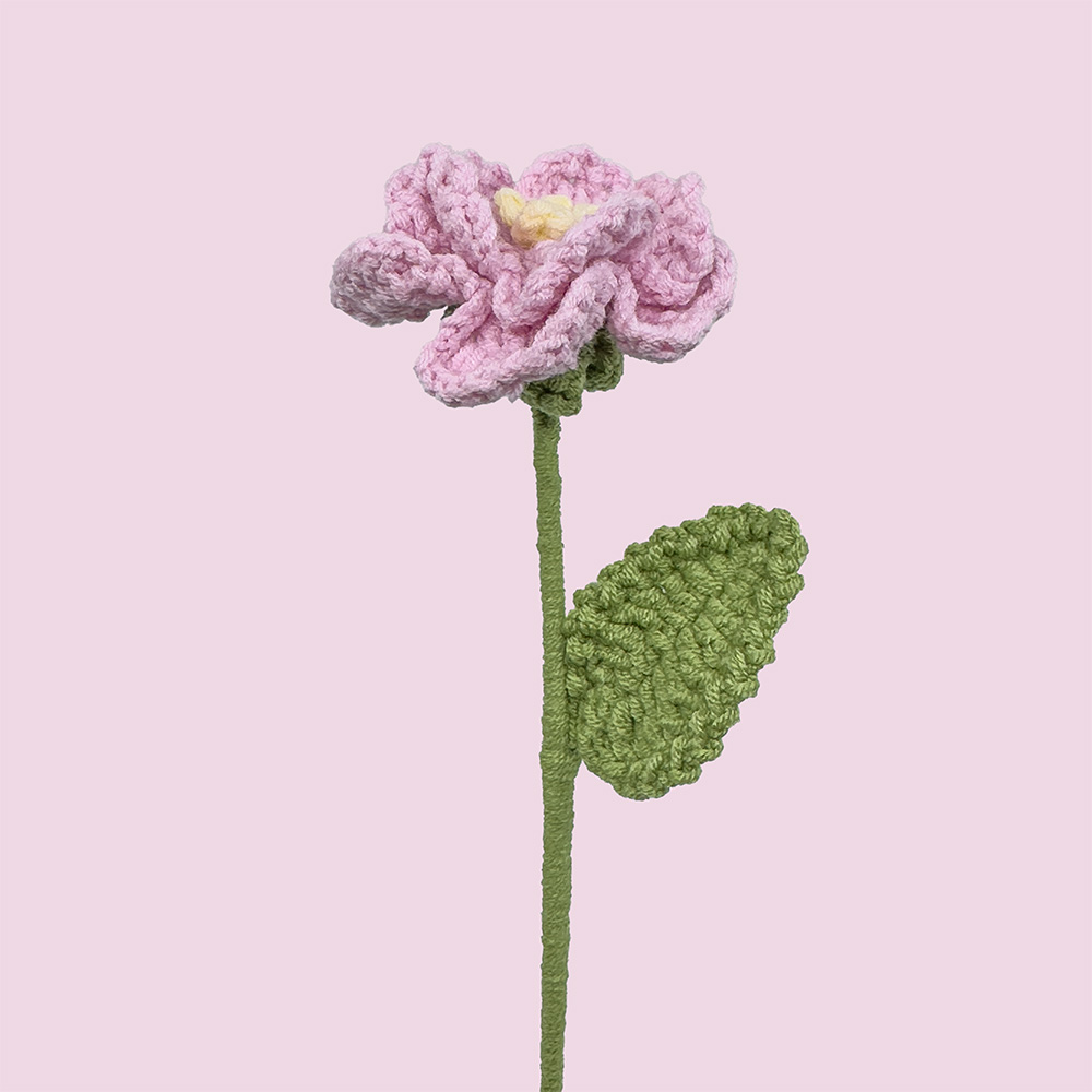 Pæon (Pink) - Baggrund