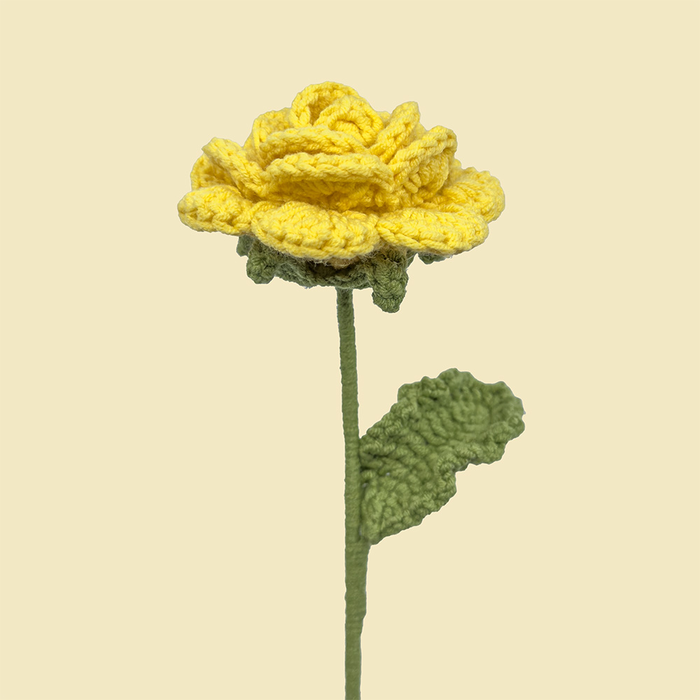 Rose (Åben - Gul) - Baggrund