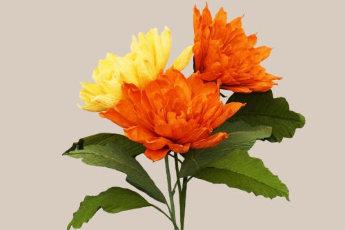 Dahlia